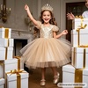 image:imageFelix amp Flora Toddler Flower Girl Dress Shoes  Baby Girl Ballet Mary Jane Flats for Party School WeddingB899fl Gold