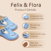 image:imageFelix amp Flora Toddler Little Girl Mary Jane Dress Shoes  Ballet Flats for Girl Party School ShoesB366blue