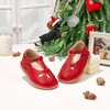 image:imageFelix amp Flora Toddler Little Girl Princess Dress ShoesMary Jane Flats for Girl Party School ShoesB421red