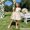 image:imageFelix amp Flora Toddler Little Girls Dress Shoes  Flower Girls Mary Jane Flats Ballet Shoes Party WeddingBf21fl Beige