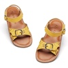 Bc316-yellow