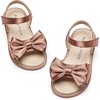Bc291-brown