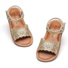 Bc307-gold