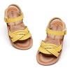 Bc310-yellow