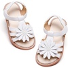 Bc306-white