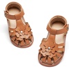 Bc314-brown