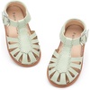 Bc262-green