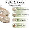image:imageFelix amp Flora Girls Toddler Little Ballet Shoes  Flower Girls Mary Jane Flats Dress Shoes Party WeddingB836gl Gold