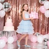 image:imageFelix amp Flora Girls Toddler Little Ballet Shoes  Flower Girls Mary Jane Flats Dress Shoes Party WeddingB883glitter Blue