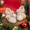image:imageFelix amp Flora Toddler Flower Girl Dress Shoes  Girl Ballet Flats Party School Shoes WeddingB821glitter Silver