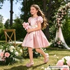 image:imageFelix amp Flora Toddler Flower Girl Dress Shoes Girl Ballet Flats Party School Shoes WeddingB904pink