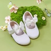 image:imageFelix amp Flora Toddler Girl Dress Shoes  Flower Girl Ballet Flats School Wedding PartyB903s Ivory