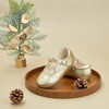 image:imageFelix amp Flora Toddler Little Girl Flat Oxfords Dress Shoes  Mary Jane Princess for Girl Party School ShoesB415gold